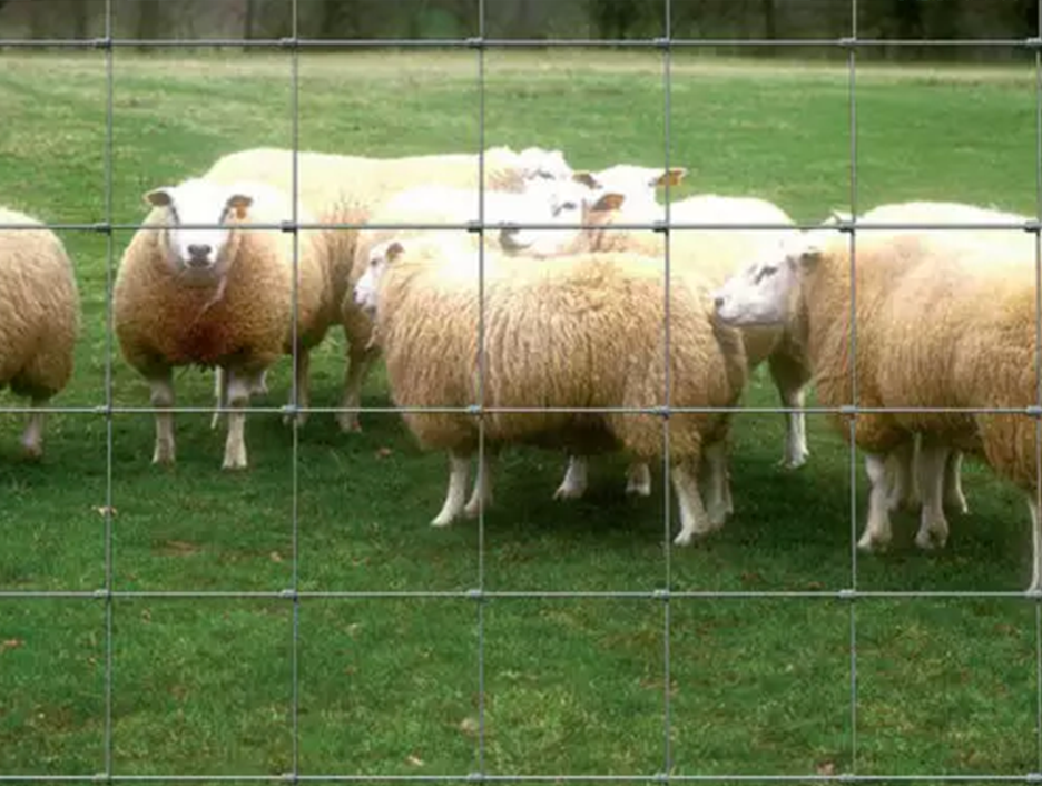 Quel type de clôture agricole / domestique choisir?