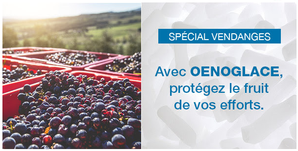 solution oenoglace vendanges Gard